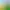 Bloons Tower Defense