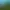 Bloons Tower Defense 4